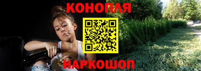 стаф Камышлов