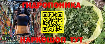 дмт Кинель
