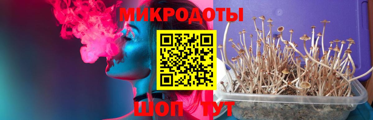 Лениногорск  Галлюциногенные грибы Psilocybine cubensis  Псилоцибиновые грибы ЛСД  Вход с VPN 